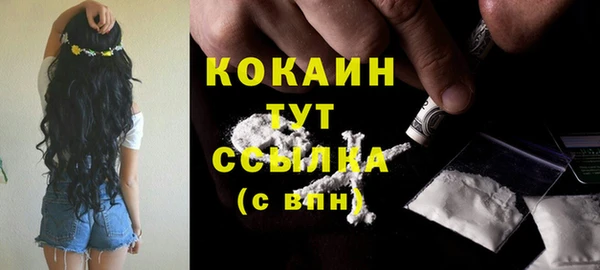 тгк Абинск