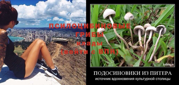 соль ск Алзамай