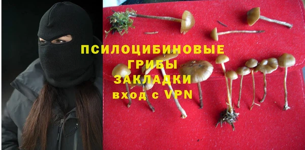 винт Алексеевка