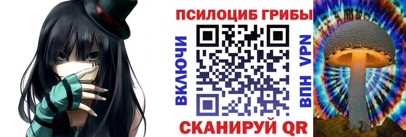 где можно купить Мирный Псилоцибиновые грибы Psilocybine cubensis